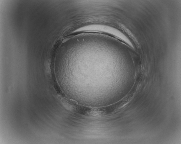 X0000071380209200607071850