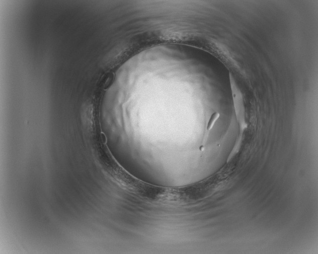 X0000071380211200607071850