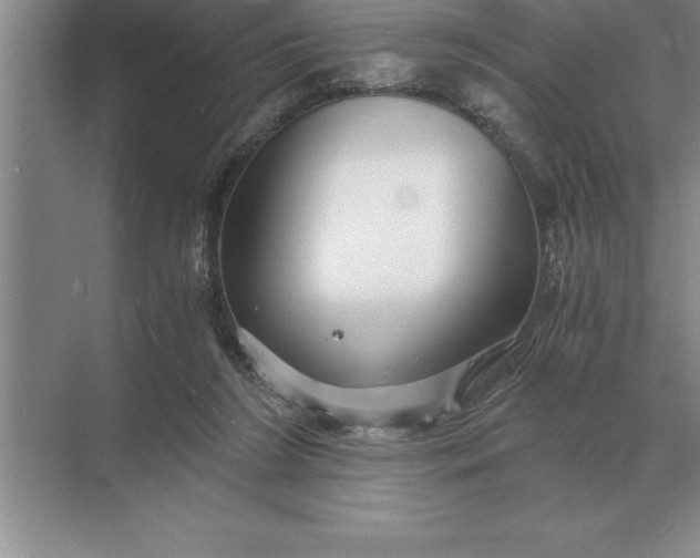 X0000071380212200607071850