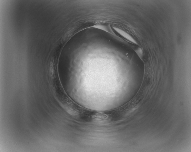 X0000071380215200607071850