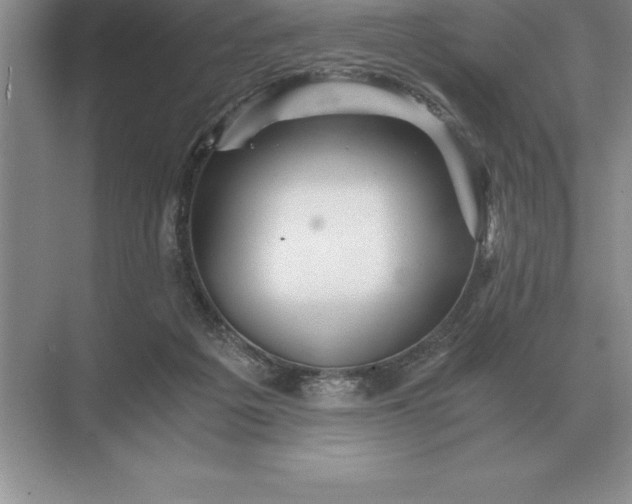 X0000071380217200607071850