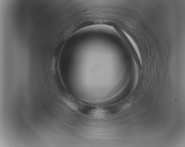 X0000071380219200607071850