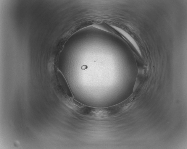 X0000071380221200607071850