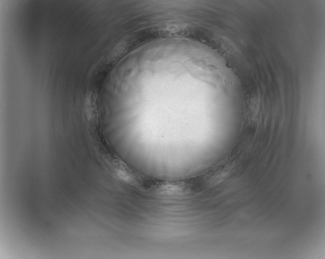 X0000071380236200607071850