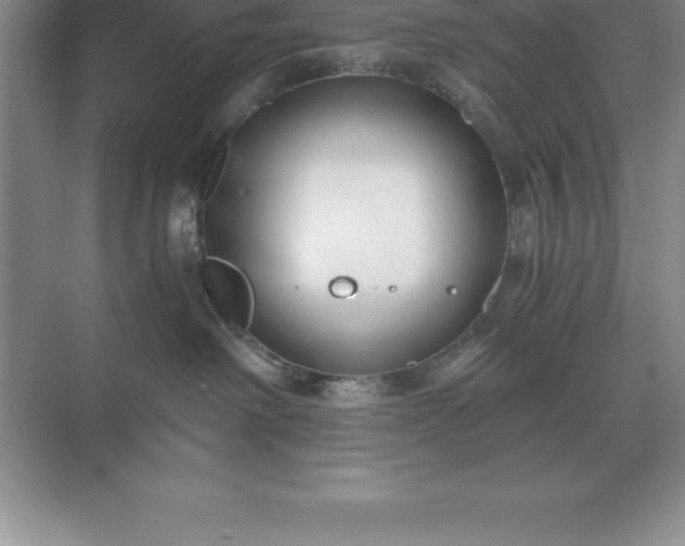 X0000071380238200607071849