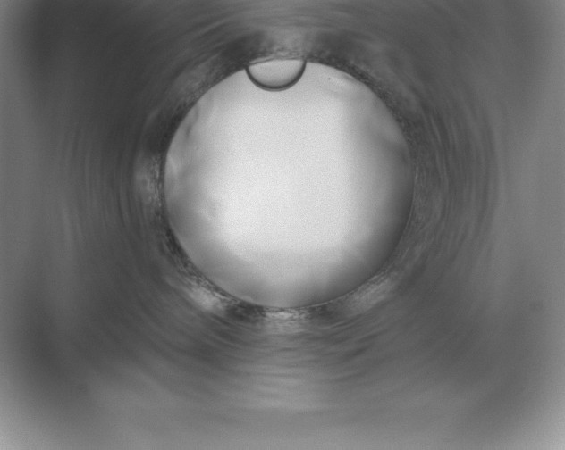 X0000071380240200607071849