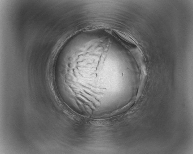 X0000071380241200607071849