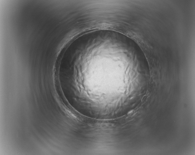 X0000071380242200607071849