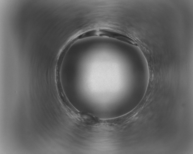 X0000071380244200607071849