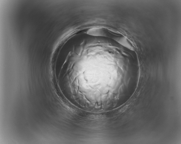 X0000071380245200607071849