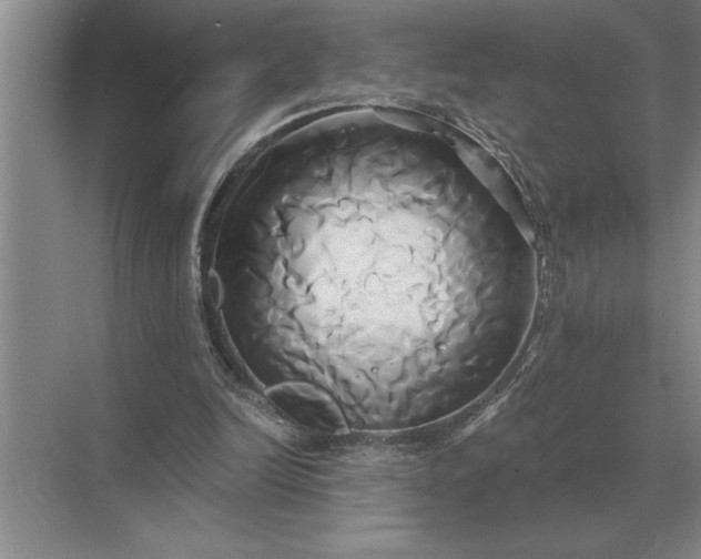 X0000071380246200607071849