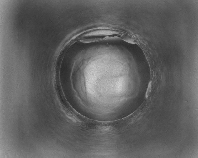 X0000071380247200607071849