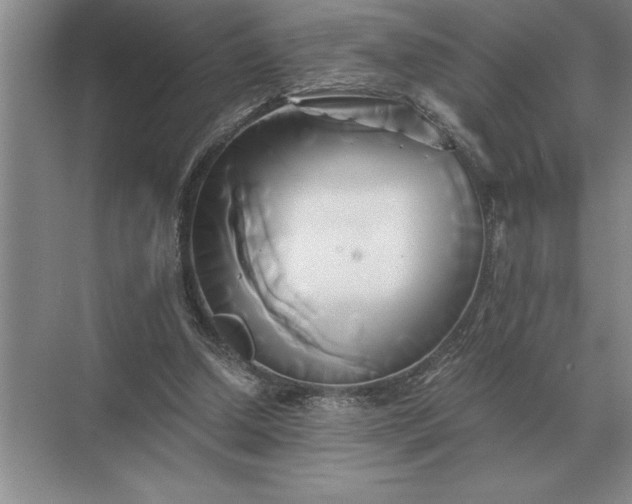 X0000071380250200607071849