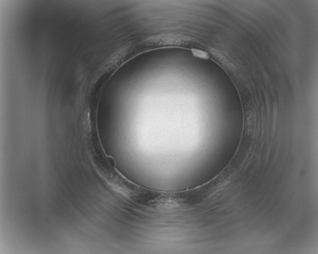 X0000071380254200607071849