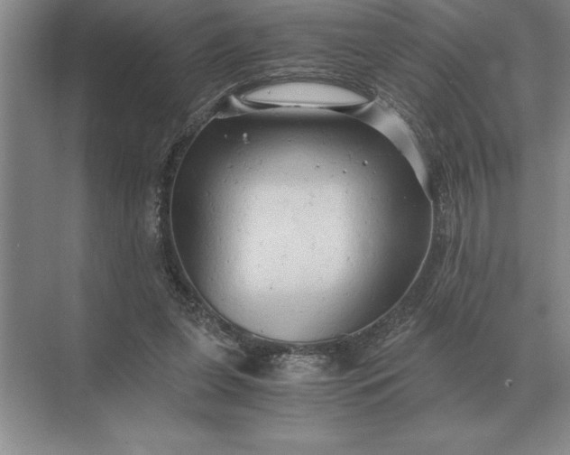 X0000071380255200607071849