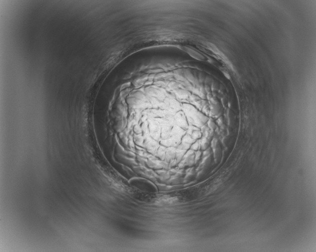 X0000071380257200607071849