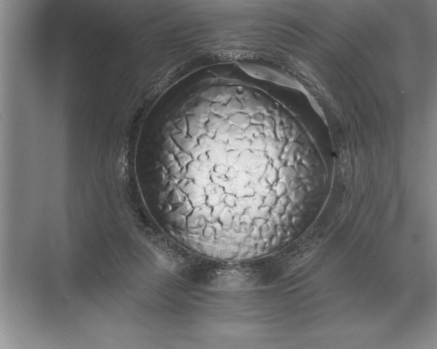 X0000071380259200607071849