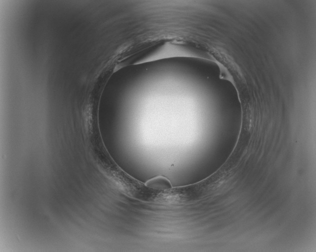 X0000071380260200607071849