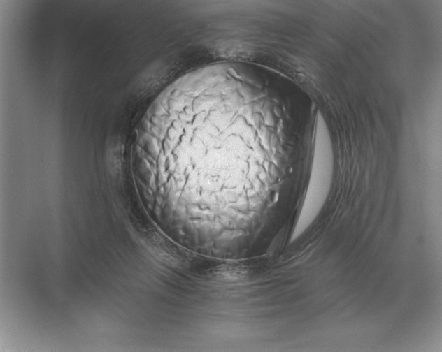 X0000071380263200607071849