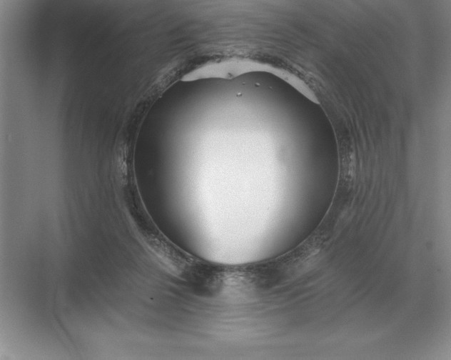 X0000071380264200607071849