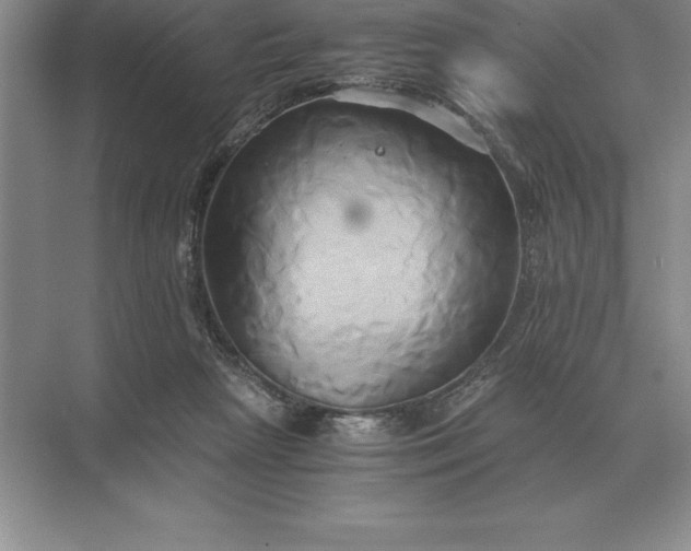 X0000071380265200607071849