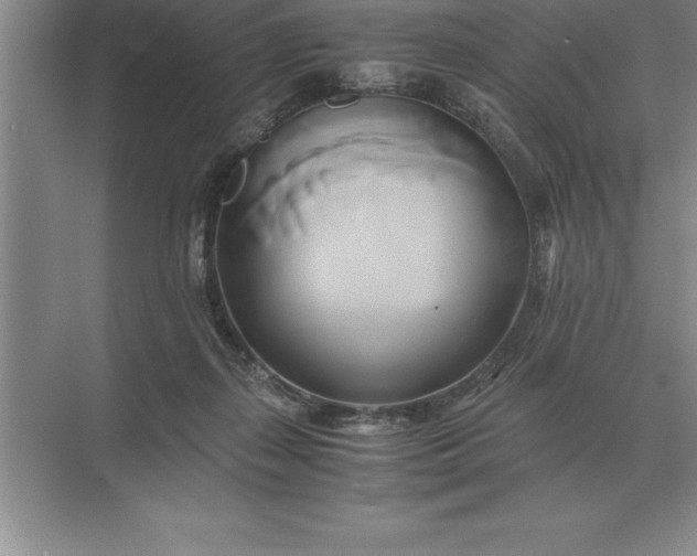 X0000071380267200607071849