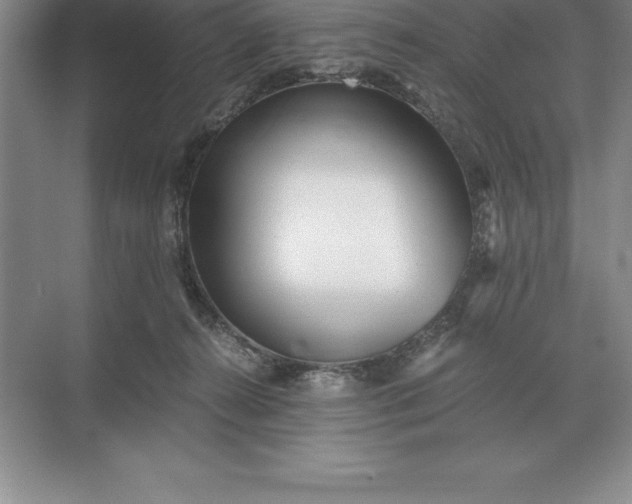 X0000071380272200607071849