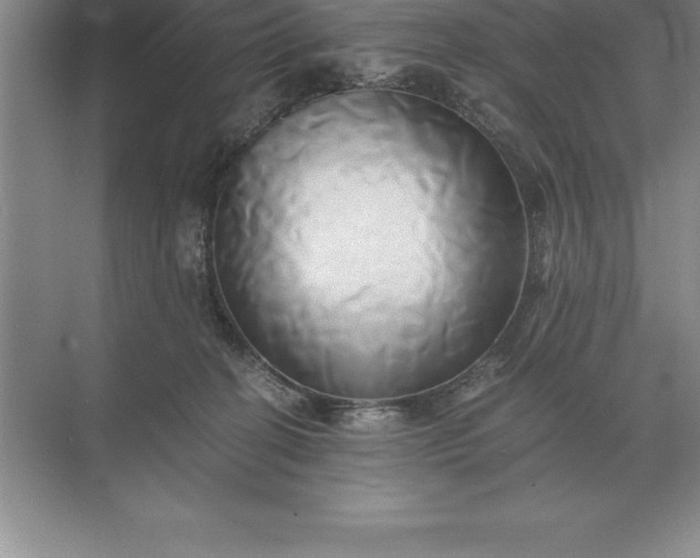 X0000071380274200607071849