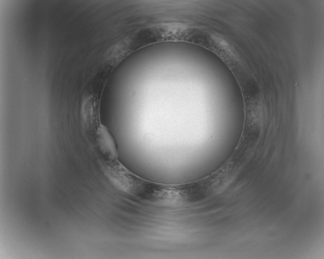 X0000071380276200607071849