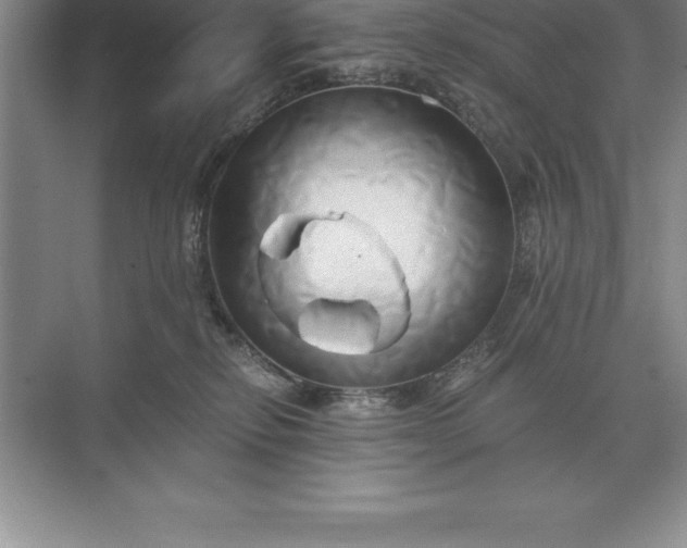 X0000071380278200607071849