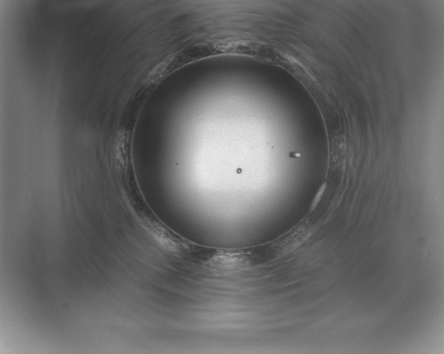 X0000071380280200607071849