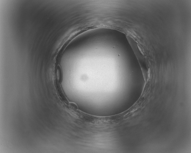 X0000071380291200607071849