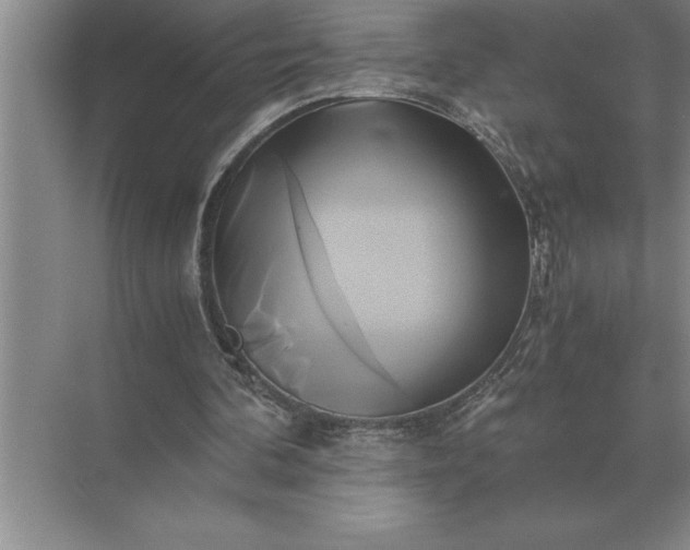 X0000071380292200607071849