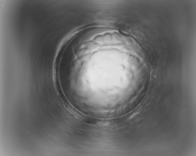 X0000071380294200607071849