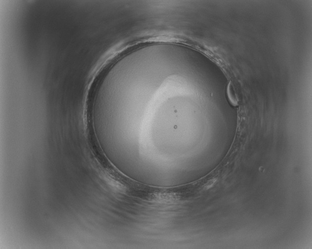 X0000071380296200607071848