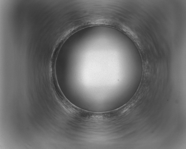 X0000071380298200607071848