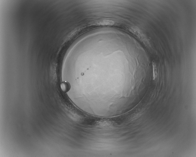 X0000071380300200607071848