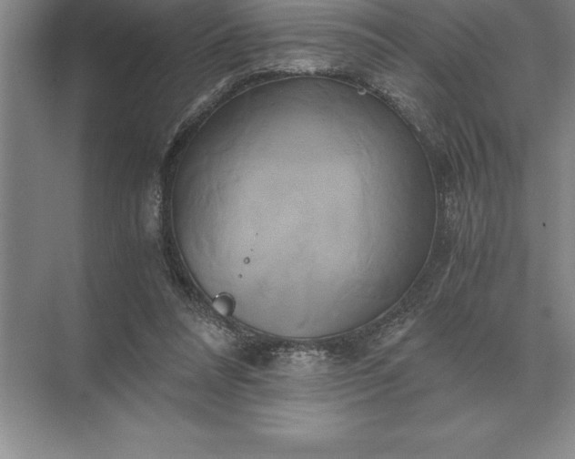 X0000071380304200607071848