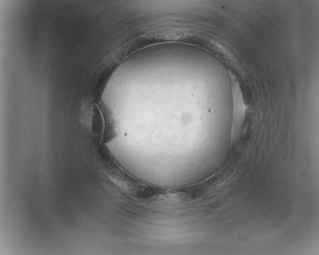 X0000071380307200607071848