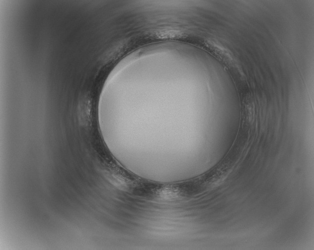 X0000071380308200607071848