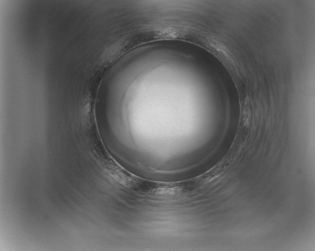 X0000071380314200607071848