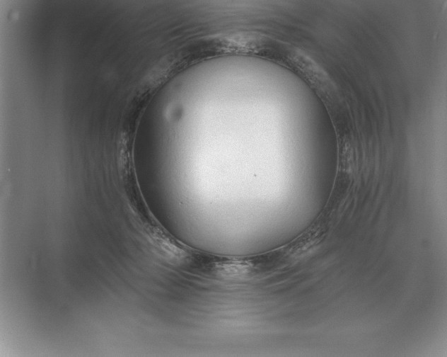 X0000071380318200607071848