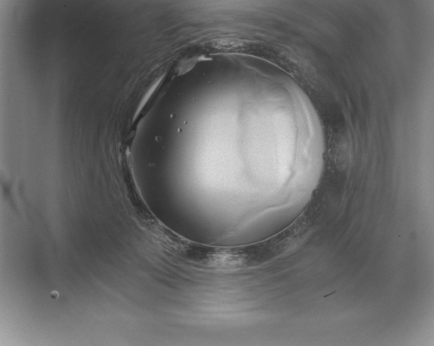 X0000071380319200607071848