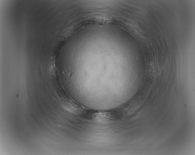 X0000071380320200607071848