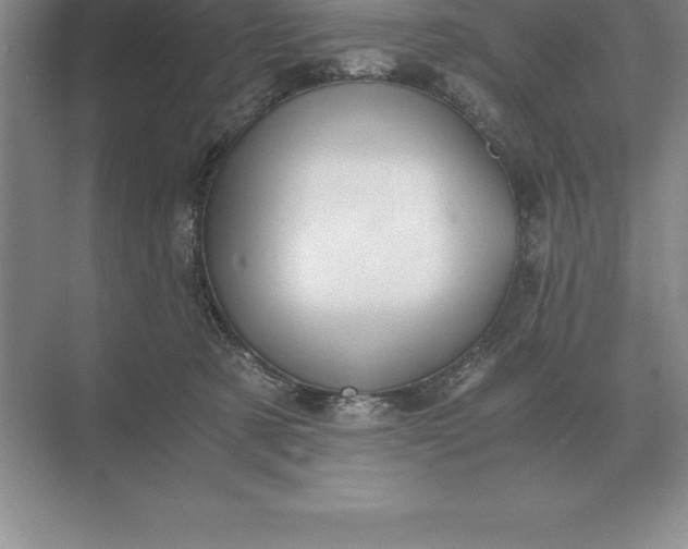 X0000071380321200607071848