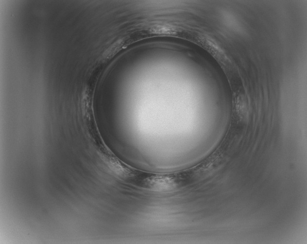 X0000071380322200607071848