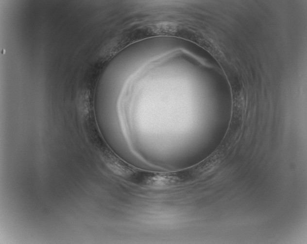 X0000071380323200607071848