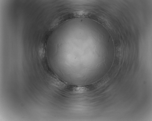 X0000071380324200607071848