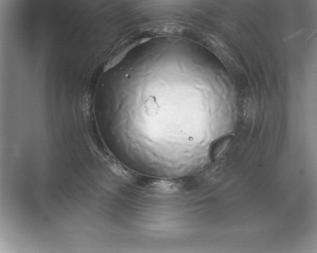 X0000071380326200607071848