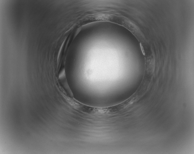 X0000071380329200607071848